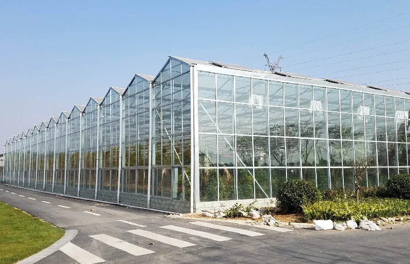 Cost of Glass Greenhouse