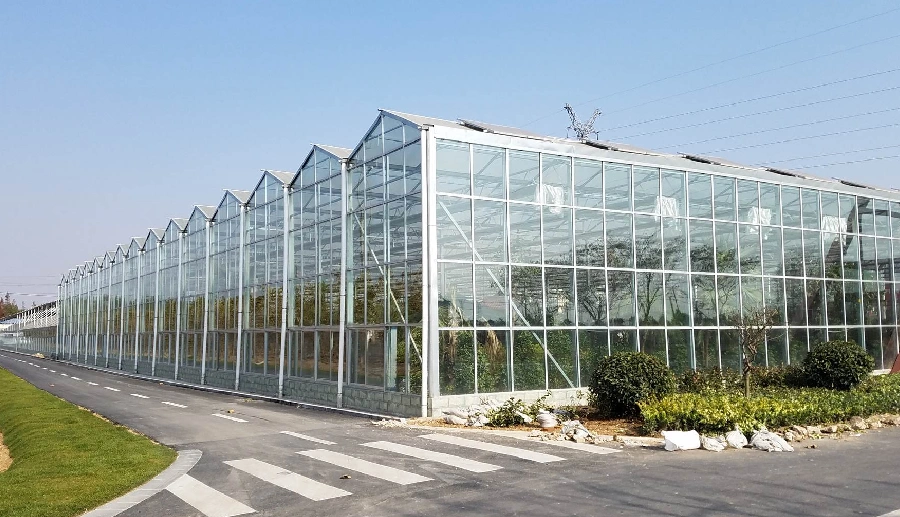 Cost of Glass Greenhouse