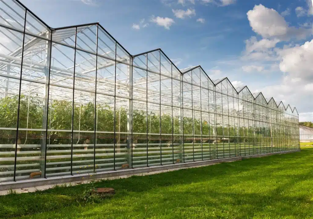 Ensure your greenhouse crops can enjoy full sunlight