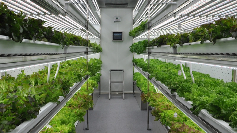 Environmental Control Greenhouses