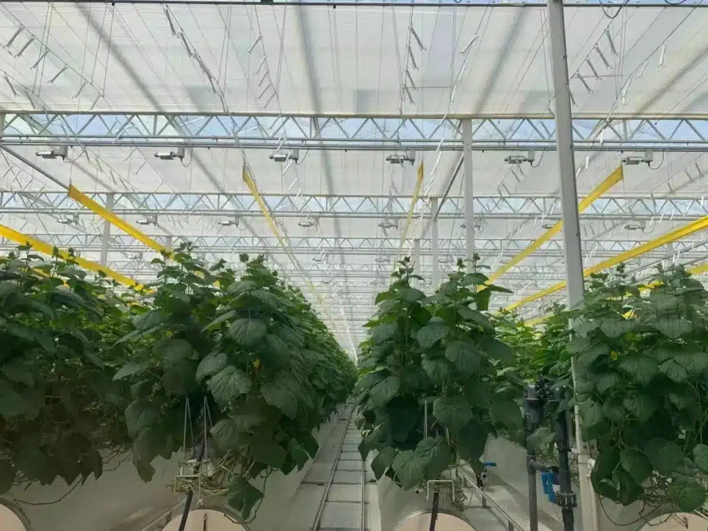 Greenhouse Climate Curtains