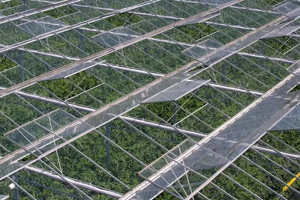 Greenhouse Roof with Motorized Vent Windows