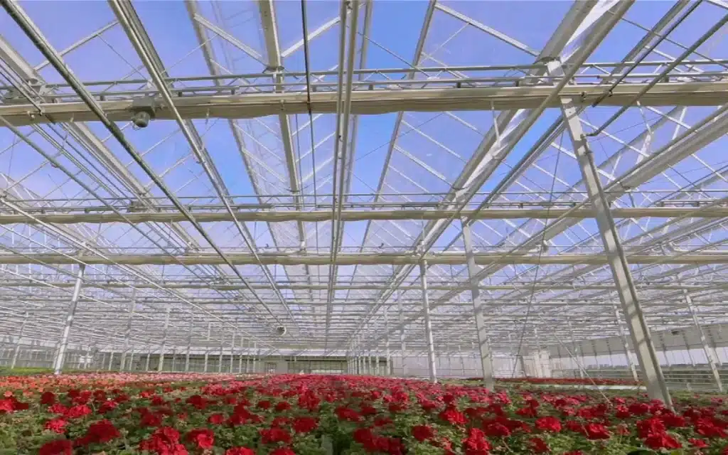 Greenhouse rooftop ventilation