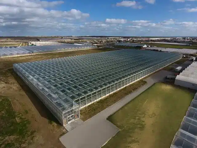 Large Commercial Glass Greenhouses