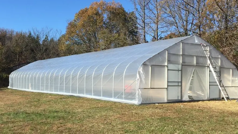 Poly Greenhouse
