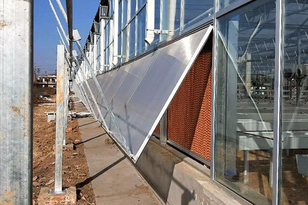 Side Windows of Glass Greenhouse