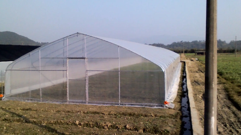 Single-Span Greenhouse