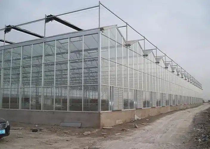 Site selection for a glass greenhouse