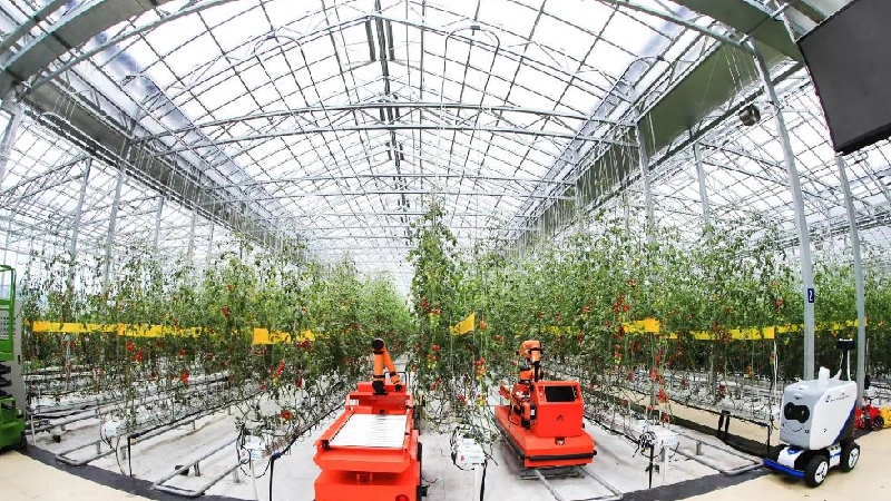 Smart Greenhouses