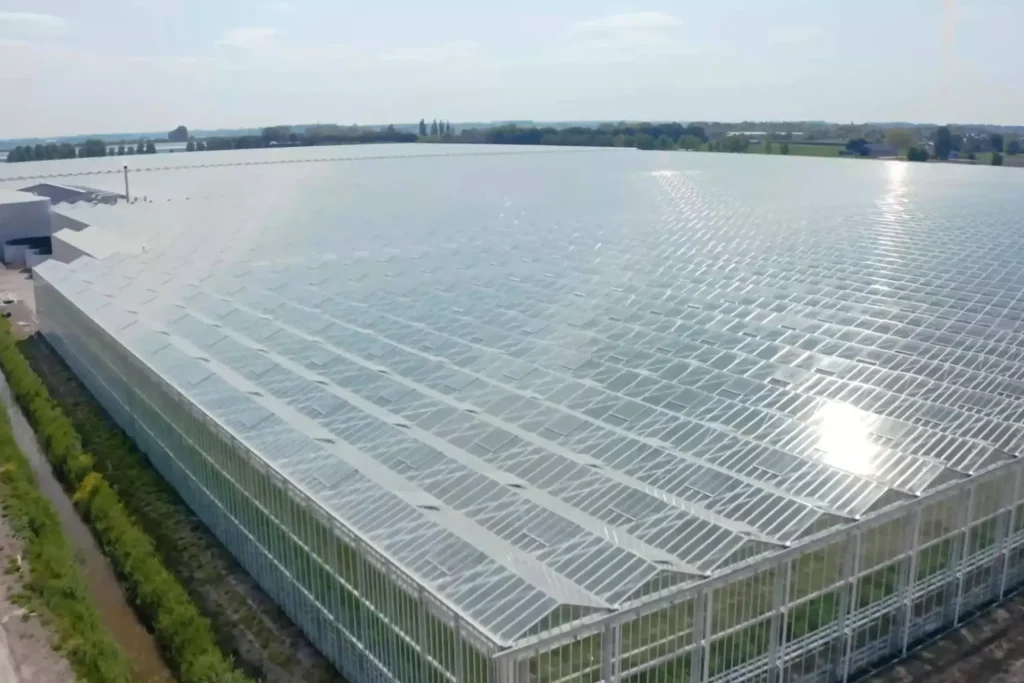 The powder-coated frame of a glass greenhouse