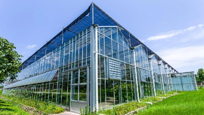 Venlo Greenhouse