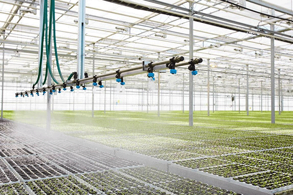 Watering System in a Glass Greenhouse