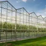 before building a commercial glass greenhous