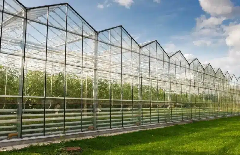 before building a commercial glass greenhous