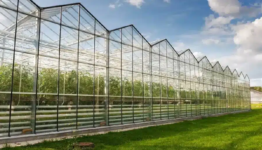 before building a commercial glass greenhous