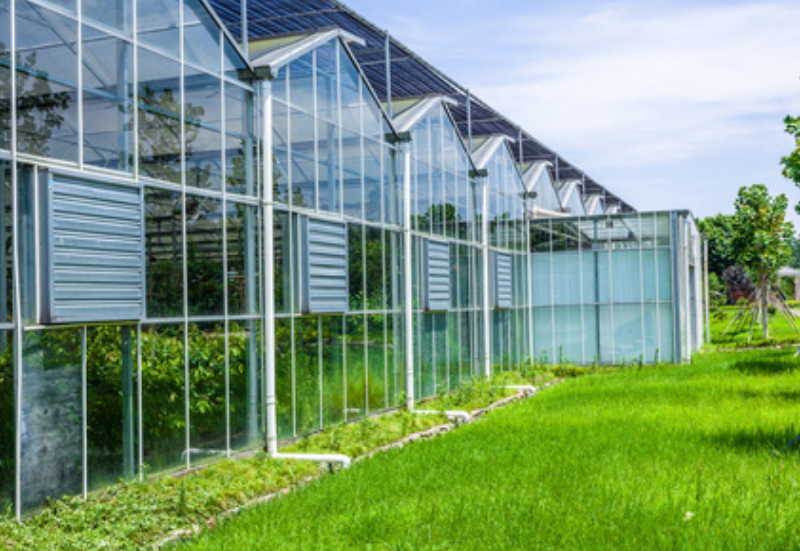 Commercial-Grade Greenhouse