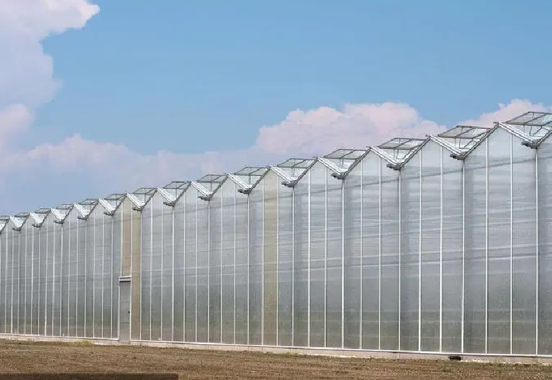 Large-scale industrial greenhouse