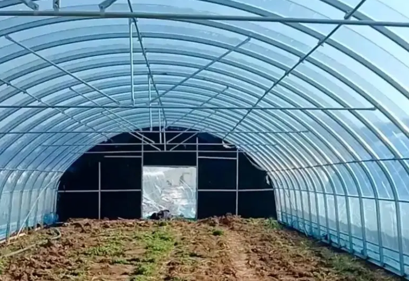 Poly Greenhouse