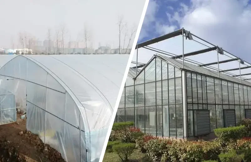 Polytunnel vs Greenhouse
