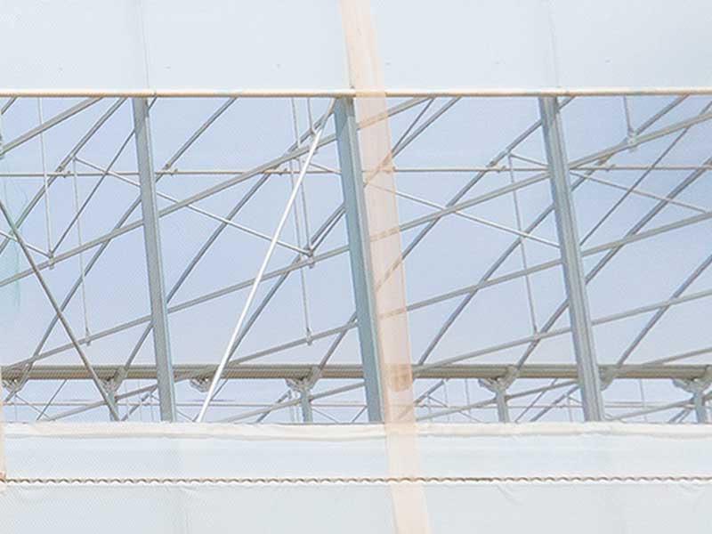 Side Ventitation for Multi Span Greenhouse