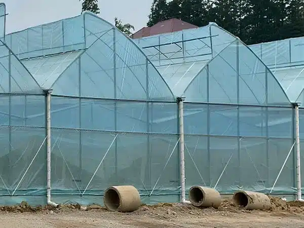 Double-half-arch sawtooth-multi-span greenhouse