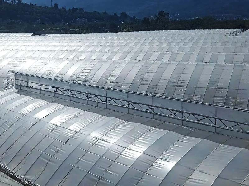 Efficient Natural Ventilation of Sawtooth Greenhouse