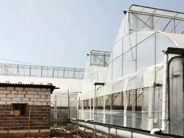 Sawtooth Greenhouse
