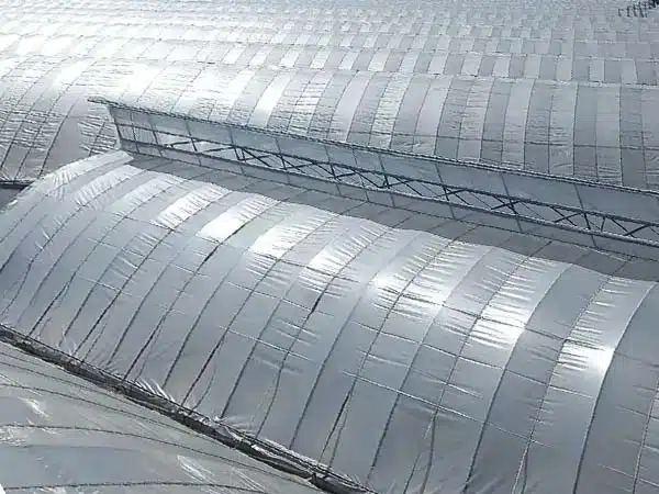 Top vertical windows of sawtooth greenhouse
