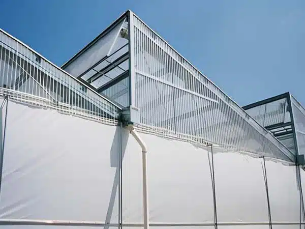 Triangular Sawtooth Greenhouse