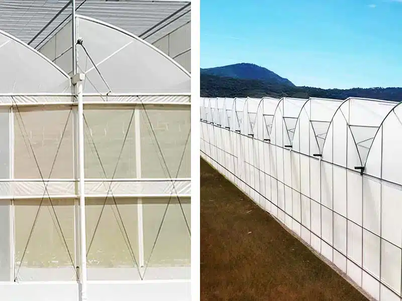 two types of sawtooth greenhouse China