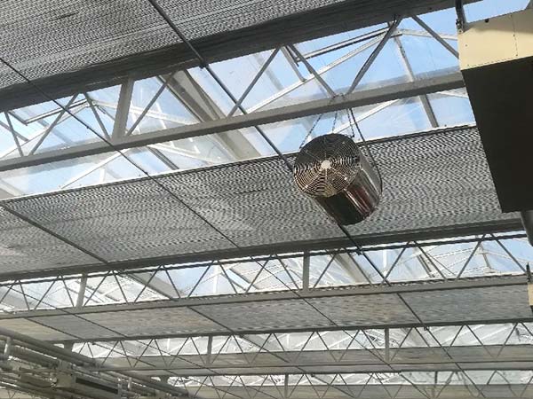 Best Greenhouse Material and Design for Commercial Greenhouse