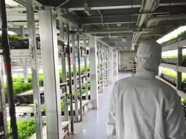 Indoor farming unaffected by external conditions