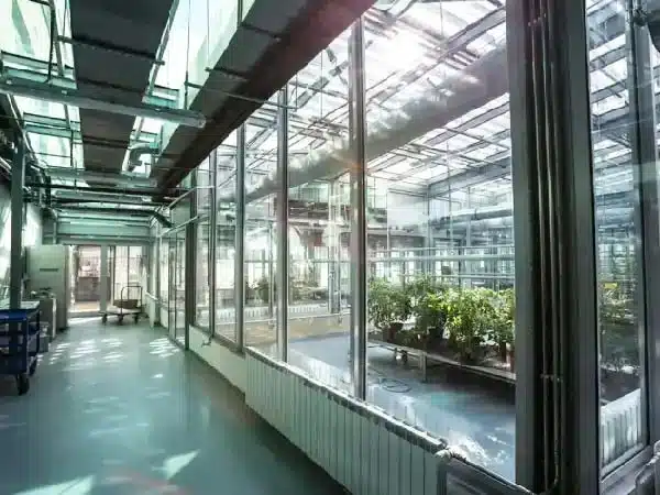 Light-dep greenhouse can get enough natural light during daylight