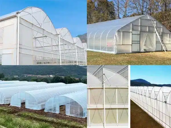 Poly film greenhouse types
