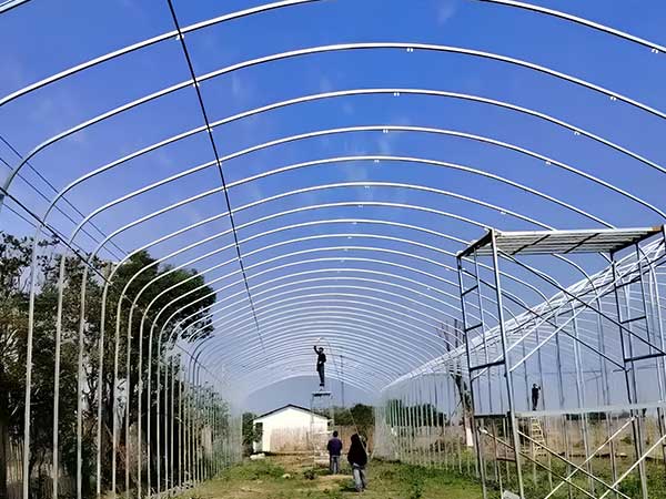 Poly greenhouse easy installation due to modular components prepared
