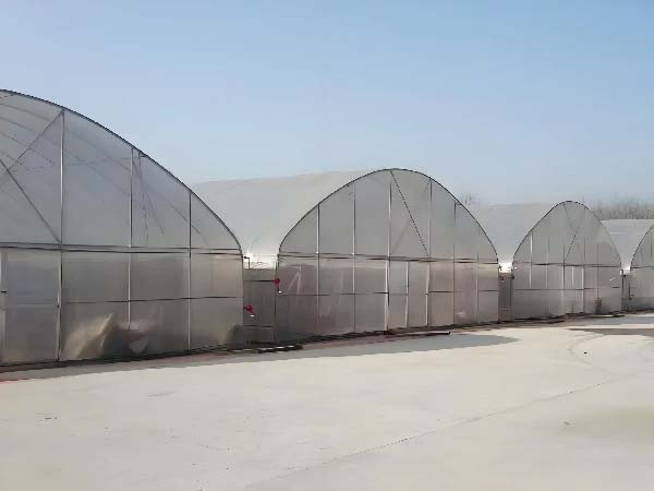 Free Standing Nursery Greenhouses