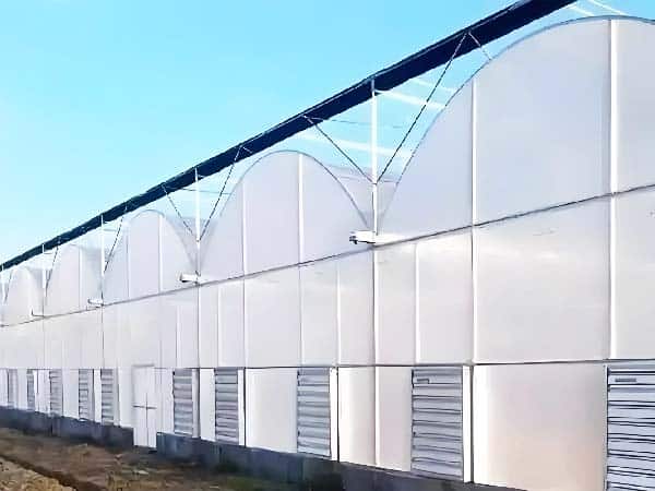 Gutter-Connected Poly Greenhouse
