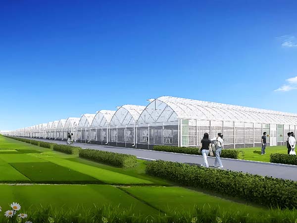 Gutter-connected sawtooth greenhouse