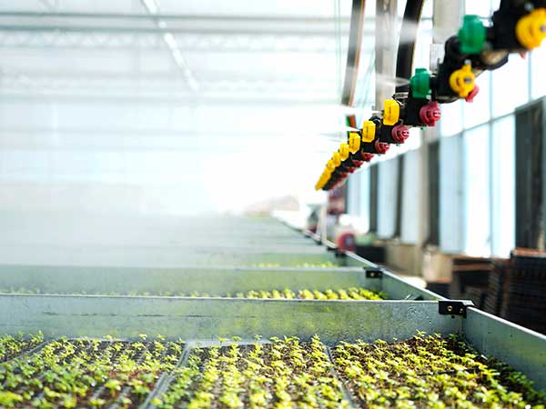 Greenhouse Irrigation System