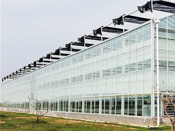 Greenhouse Structures