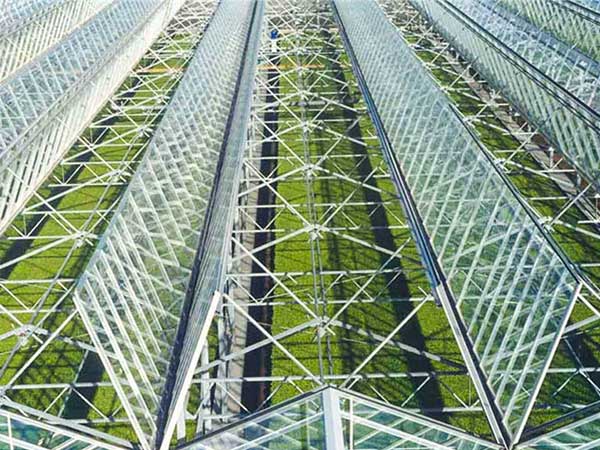 Greenhouse Ventilation System