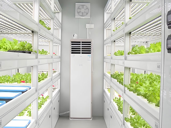 A vertical farming research center built inside repurposed shipping containers