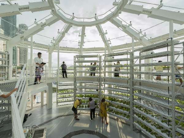 K Farm by Avoid Obvious Architects