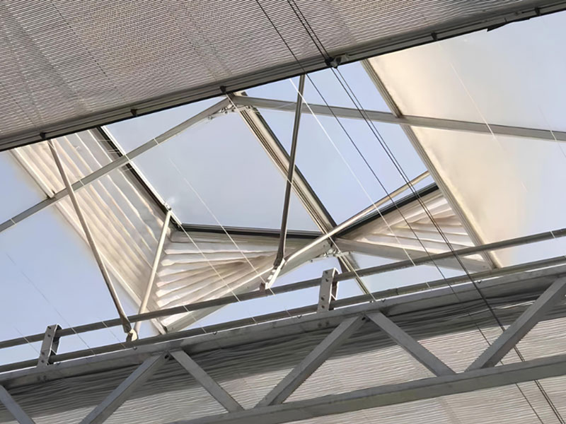 Top Ventilation of Venlo Greenhouse