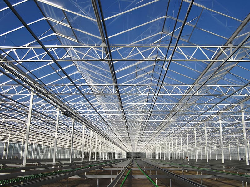 Venlo Greenhouse High-light Glazing
