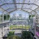 Vertical Farming Pros and Cons