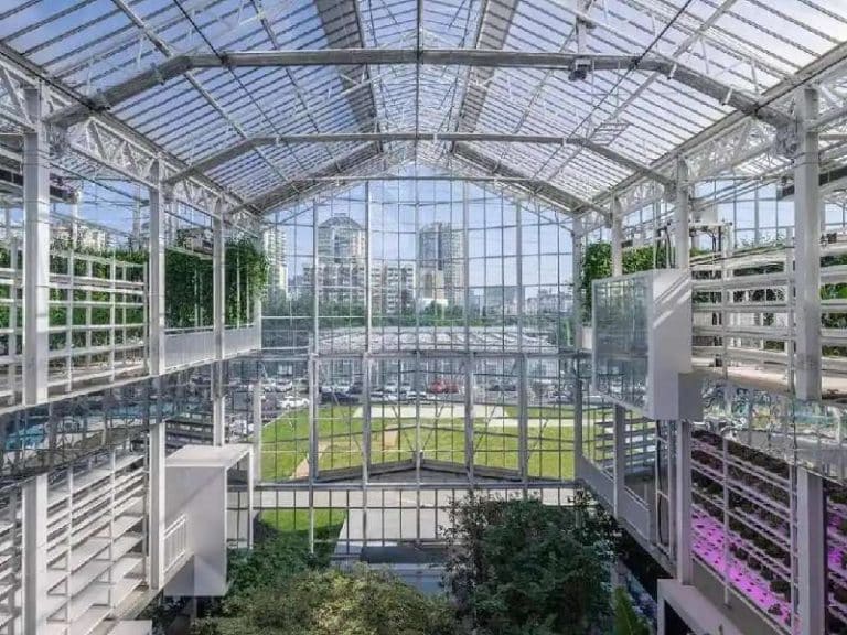 Vertical Farming Pros and Cons