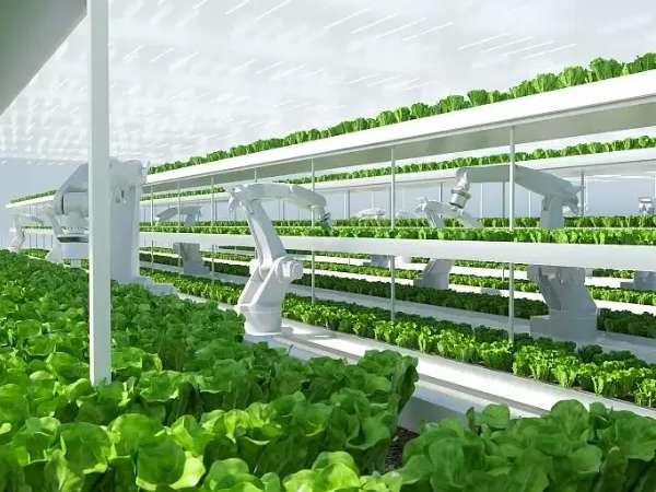 Vertical farming brings agriculture and technology closer together