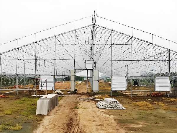 20-meter wide-span even-span greenhouse