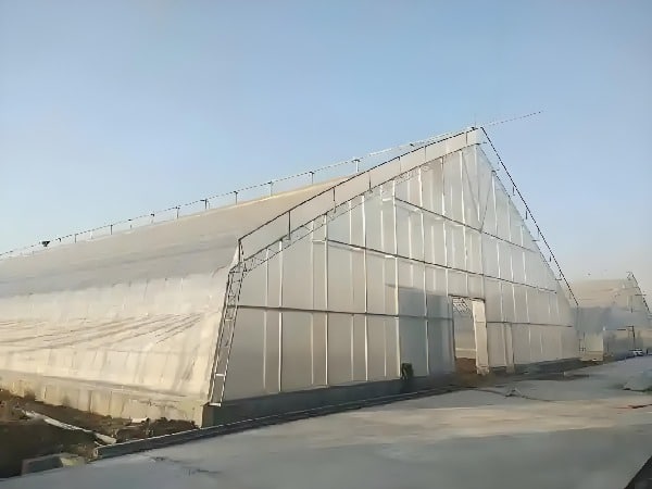 Even-span greenhouse with PE film covering
